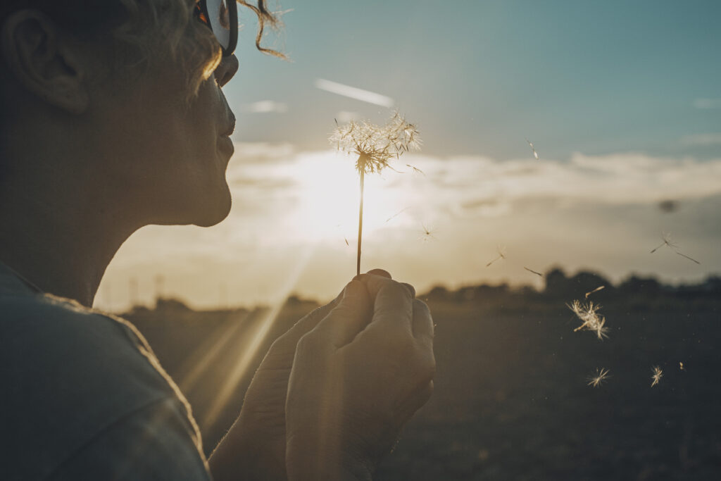 Healing After a Toxic Relationship 1 freedom blog 48